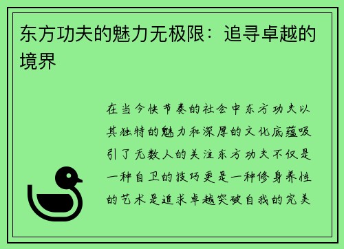 东方功夫的魅力无极限：追寻卓越的境界